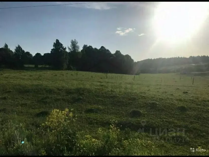 Участок в Калужская область, Боровский муниципальный округ, ... - Фото 1