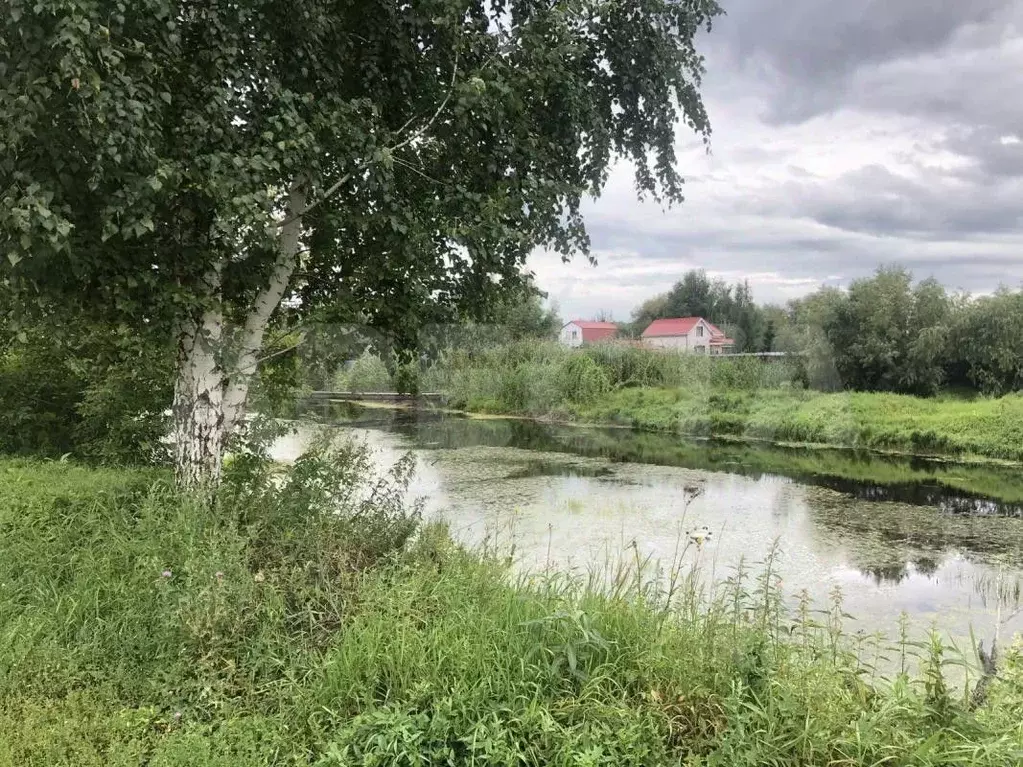 Дом в Омская область, Омск СОСН Березка-3 тер.,  (50 м) - Фото 2