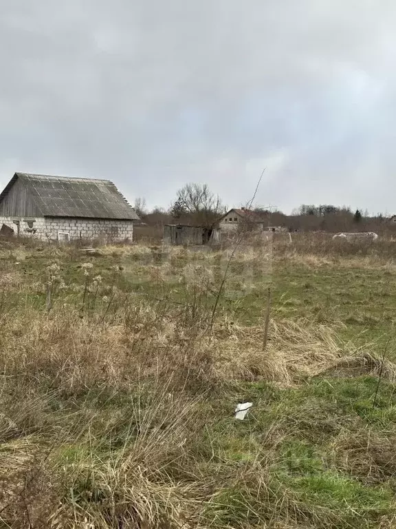 Участок в Калининградская область, Гвардейский муниципальный округ, ... - Фото 1