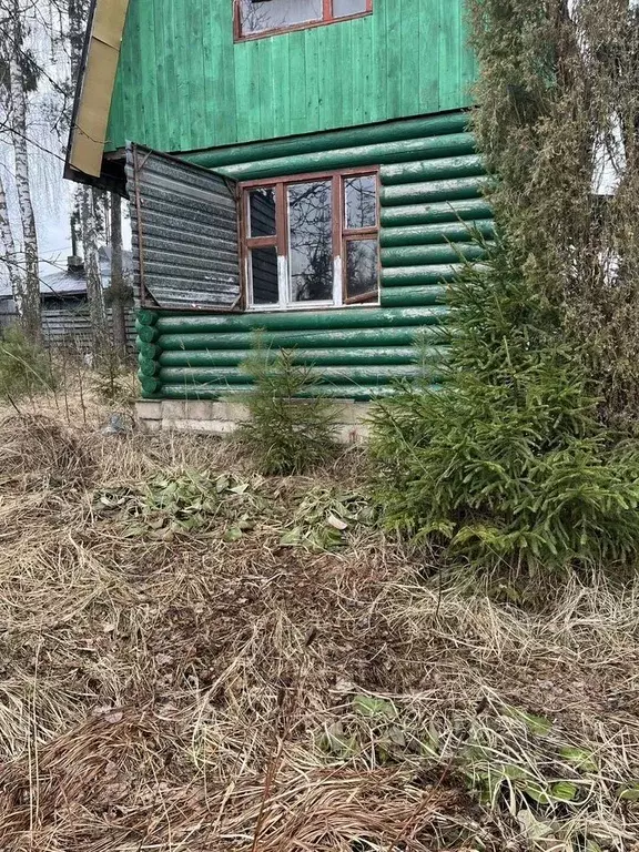 Участок в Московская область, Щелково городской округ, Водовод-1 СНТ ... - Фото 1