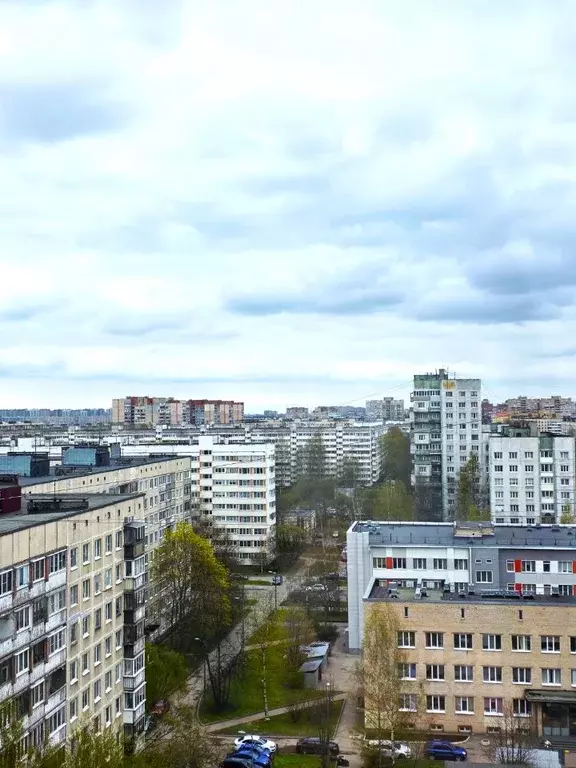 Студия Санкт-Петербург просп. Энгельса, 149К3 (26.0 м) - Фото 1