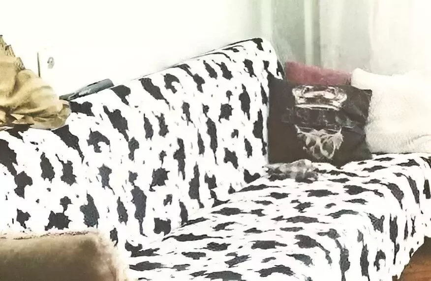 Комната Кемеровская область, Кемерово просп. Ленина, 41 (12.0 м) - Фото 1