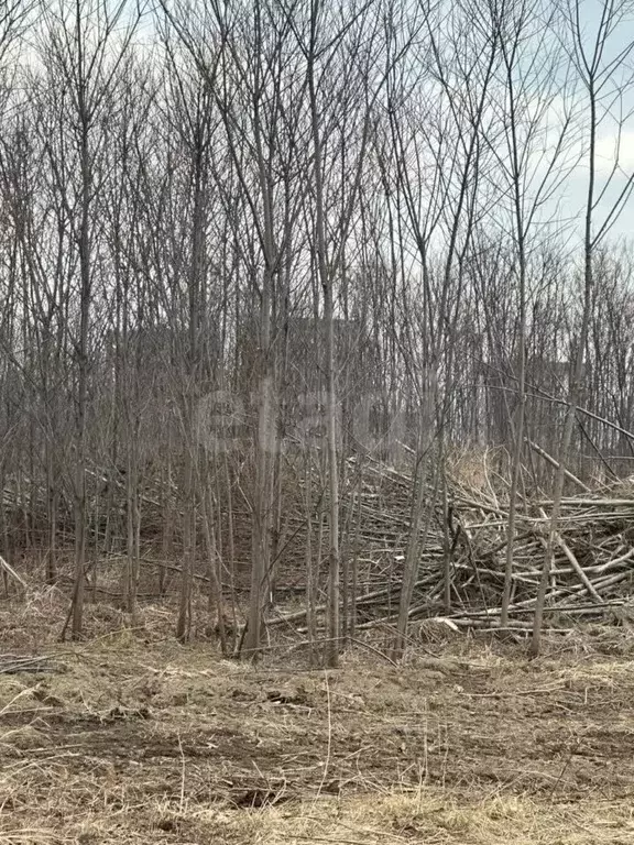 Участок в Сахалинская область, Анивский городской округ, с. ... - Фото 1