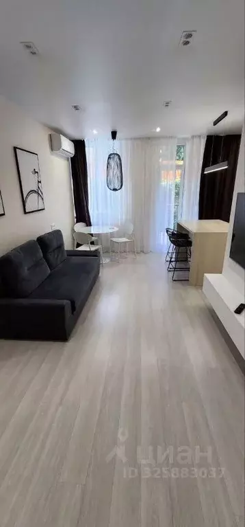 Студия Краснодарский край, Сочи Сириус пгт, ул. Голубая (28.0 м) - Фото 2