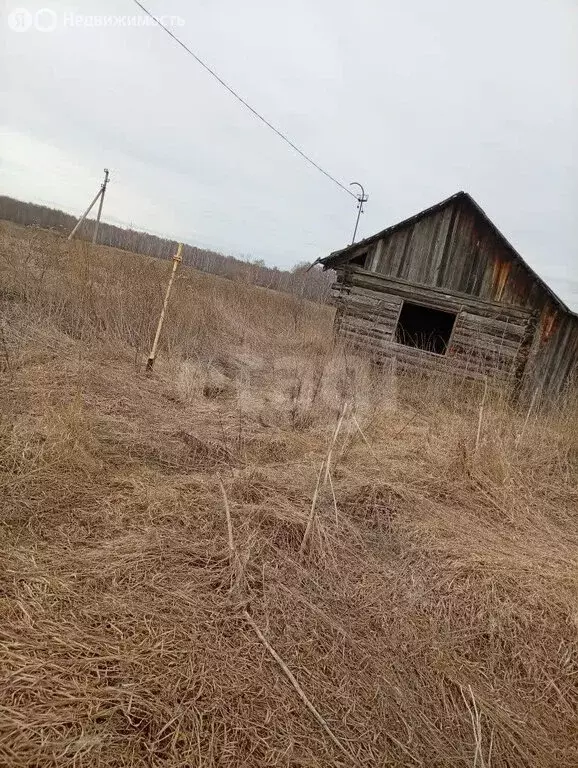 Участок в Свердловская область, Тугулымский муниципальный округ, ... - Фото 2