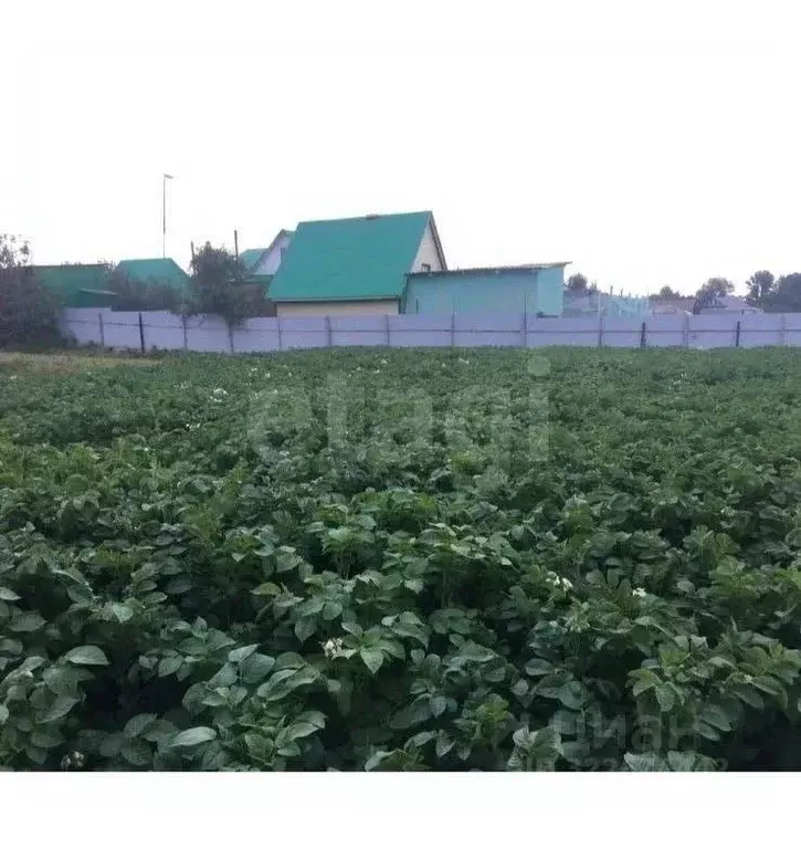 Участок в Башкортостан, Архангельский район, Ирныкшинский сельсовет, ... - Фото 2