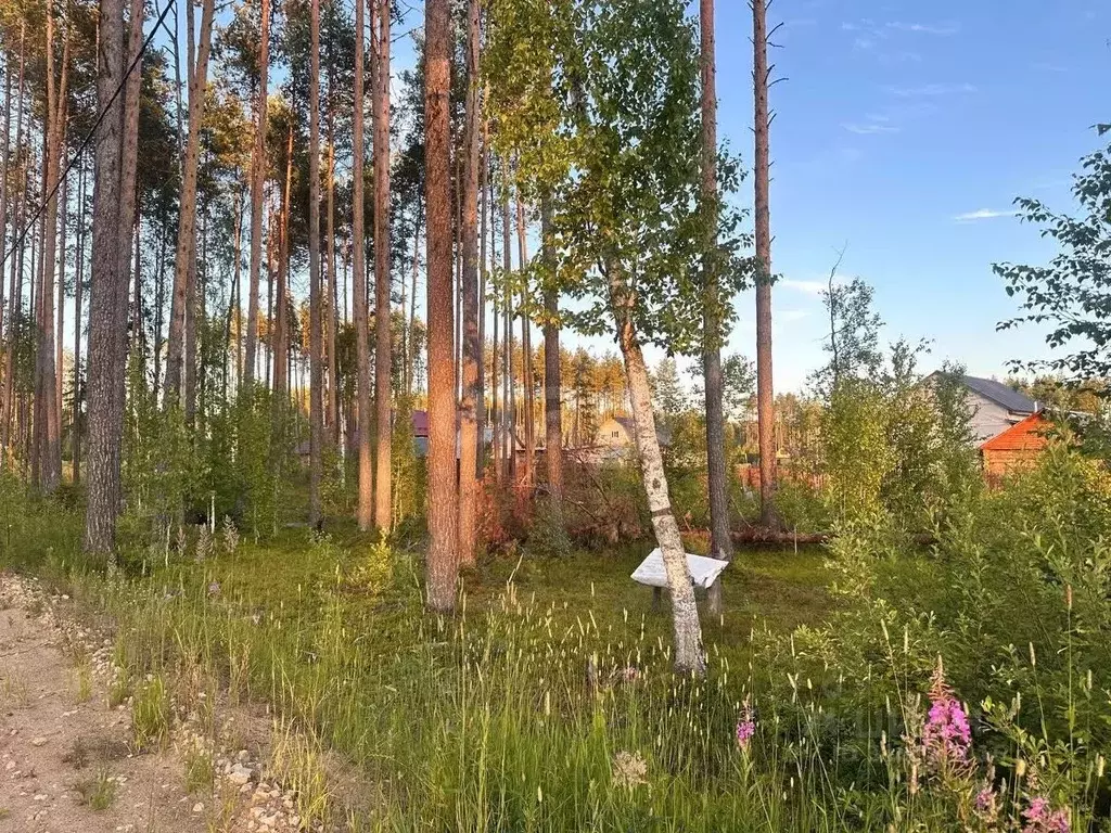 Участок в Коми, Сыктывкар городской округ, Краснозатонский пгт ул. ... - Фото 0