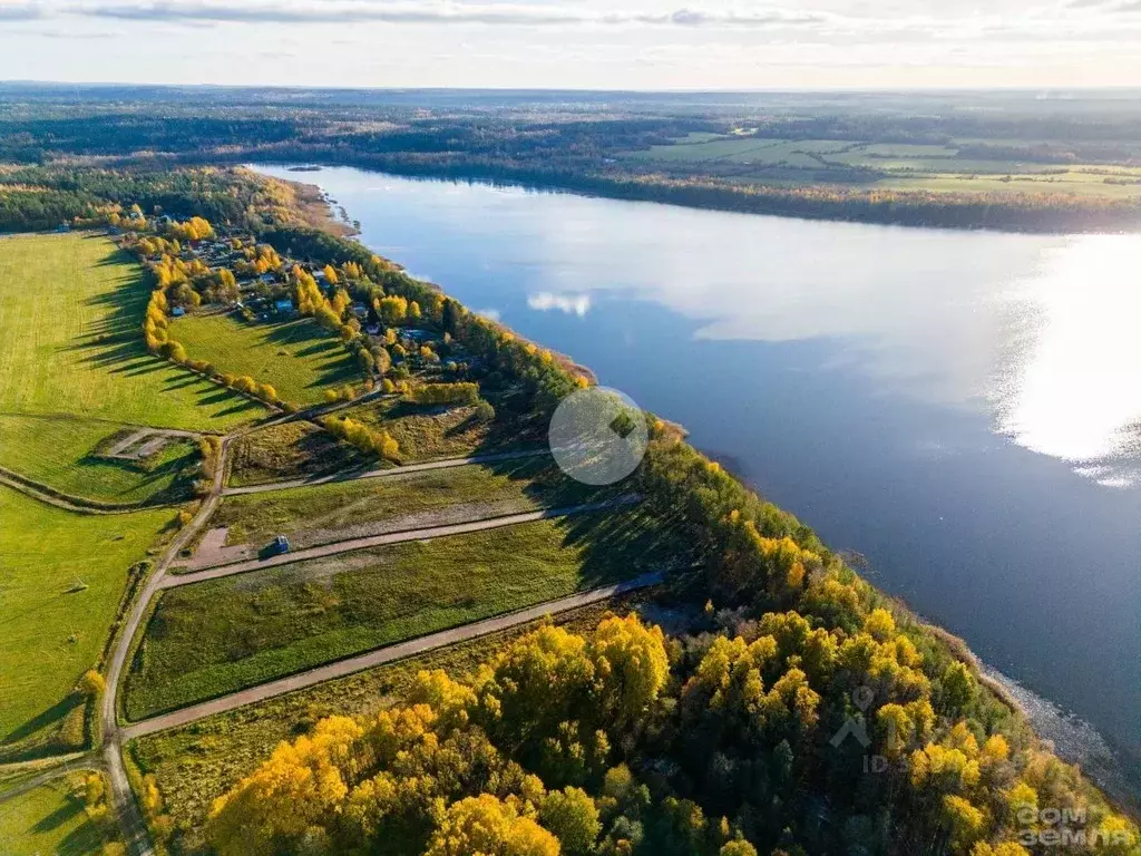 Участок в Ленинградская область, Выборгский район, Красносельское ... - Фото 2