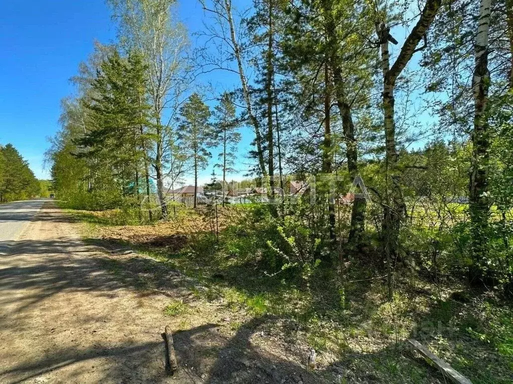 Участок в Тюменская область, Тюменский муниципальный округ, с. ... - Фото 2