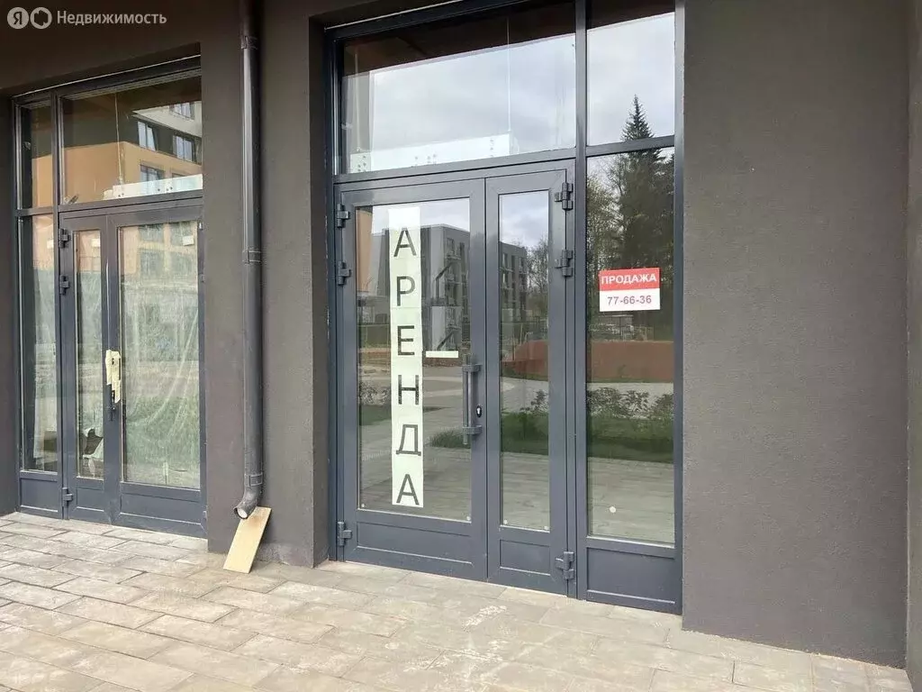 Помещение свободного назначения (44 м) - Фото 2