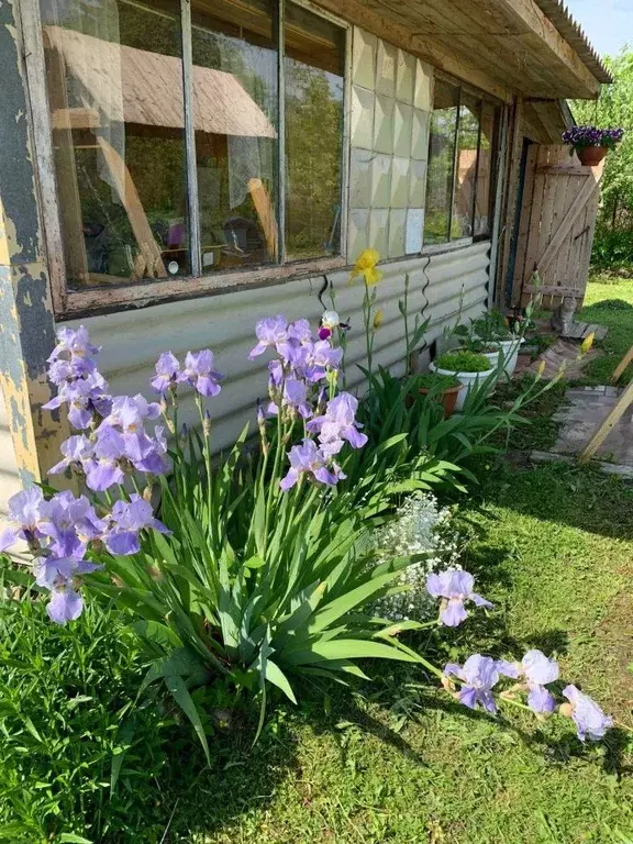 Дом в Псковская область, Псковский район, Краснопрудская волость, ... - Фото 1
