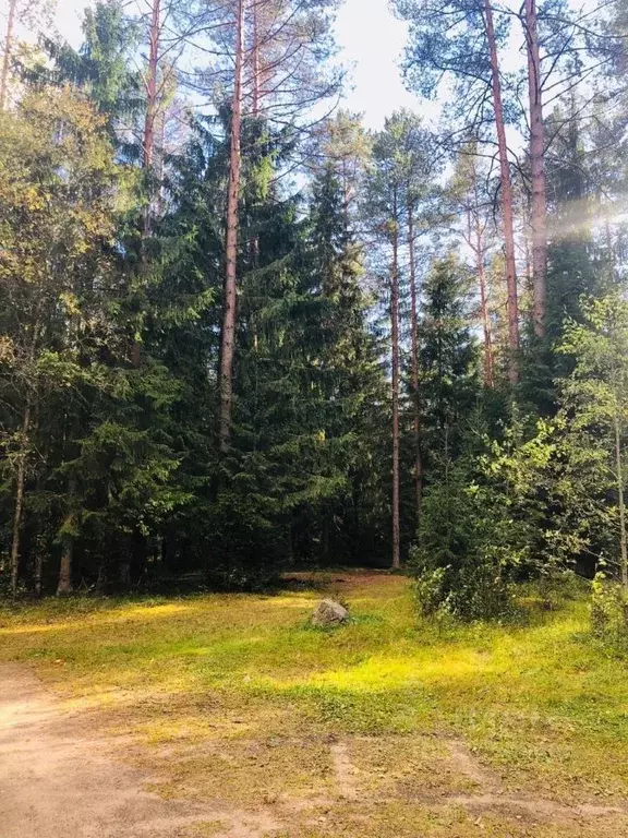 Участок в Санкт-Петербург пос. Солнечное,  (2.0 сот.) - Фото 1