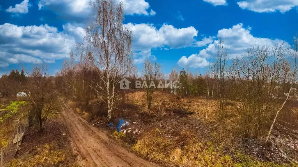 Участок в Владимирская область, Владимир Пиганово мкр,  (10.0 сот.) - Фото 2