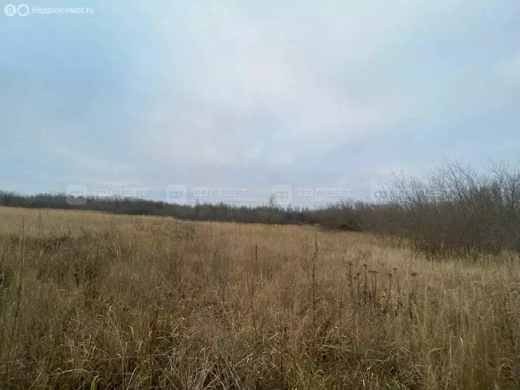 Участок в Теньки, улица Рубцова, 32 (10 м) - Фото 2