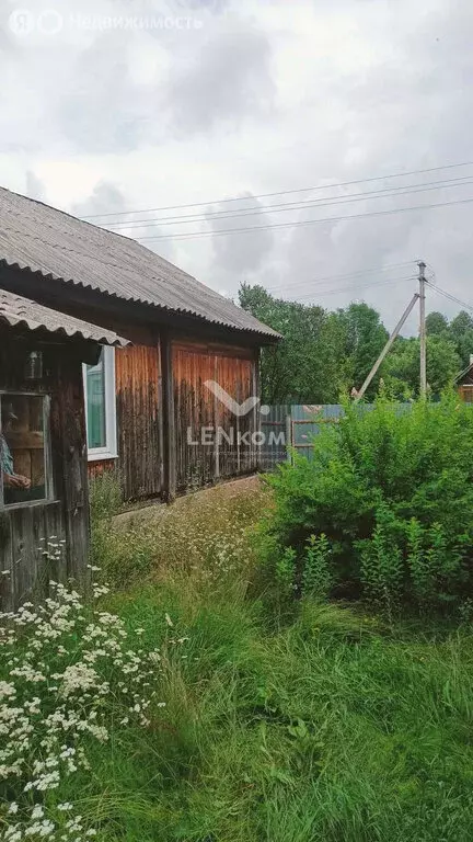 Дом в Вишур, Восточная улица, 7 (36 м) - Фото 1