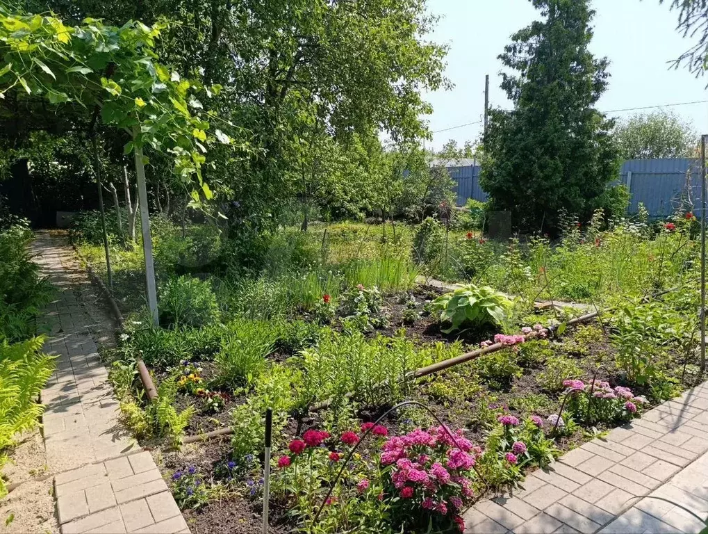 Дом 50 м на участке 8,2 сот. - Фото 1