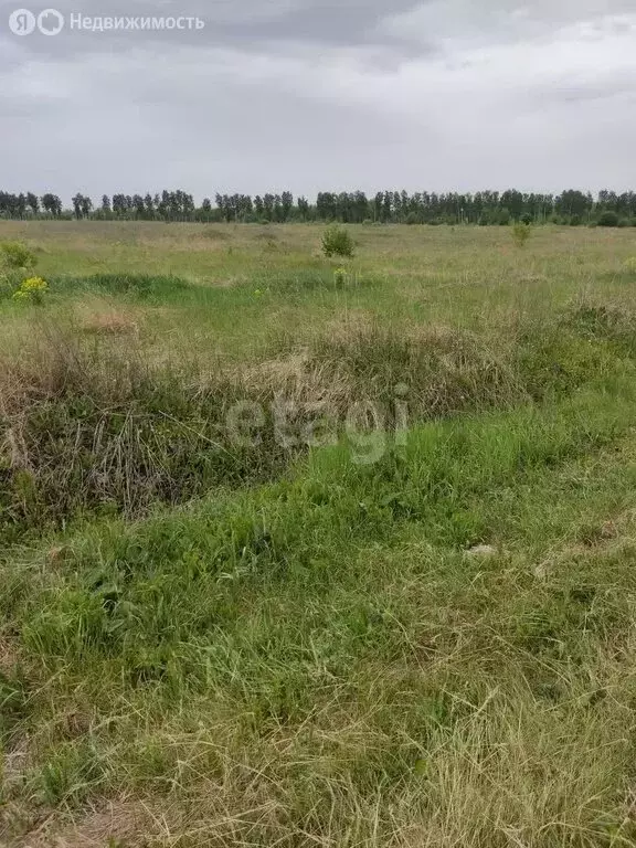 Участок в Мокшанский район, Рамзайский сельсовет, село Рамзай (18.4 м) - Фото 0