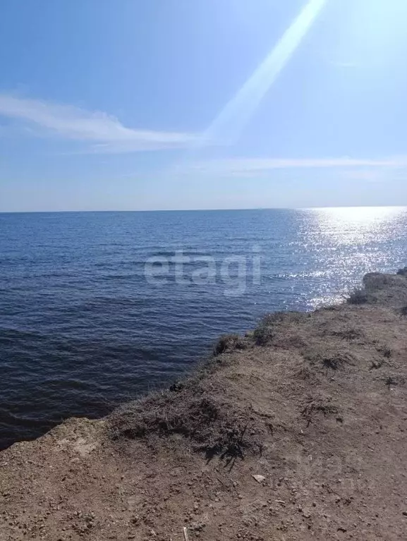 участок в крым, черноморский район, оленевское с/пос, с. оленевка ул. . - Фото 0