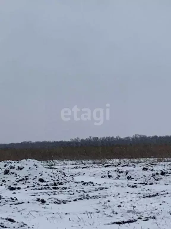 Участок в Белгородская область, Белгородский район, Головинское с/пос, ... - Фото 1