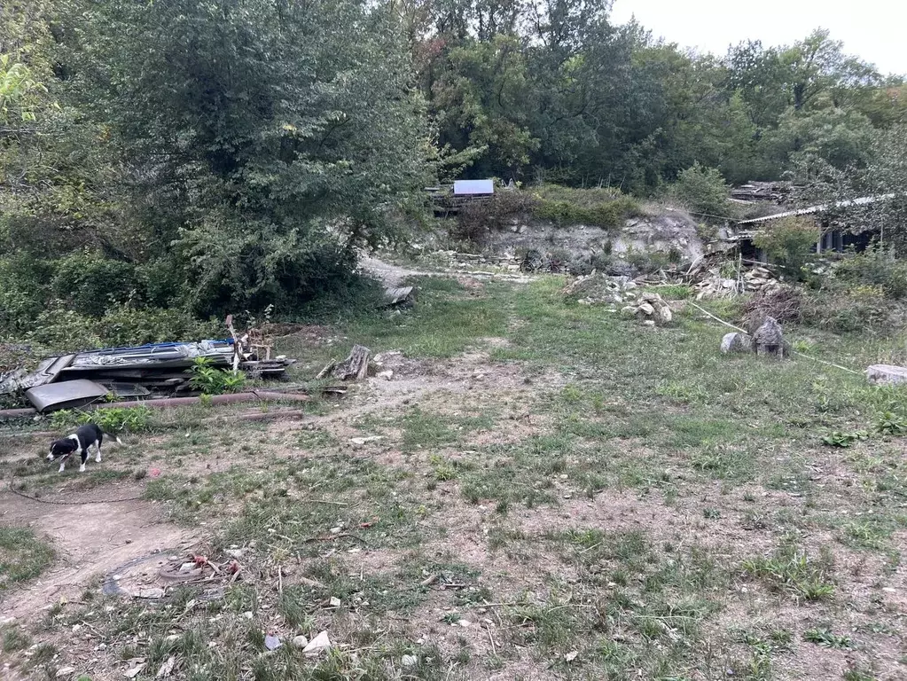 Участок в Краснодарский край, Геленджик муниципальное образование, с. ... - Фото 0
