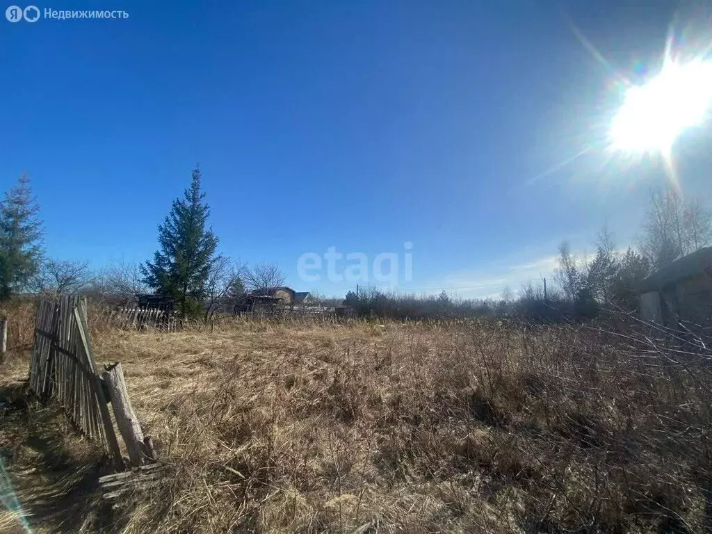 Участок в Ульяновск, СНТ Дендрарий, 1-я линия (6.1 м) - Фото 1