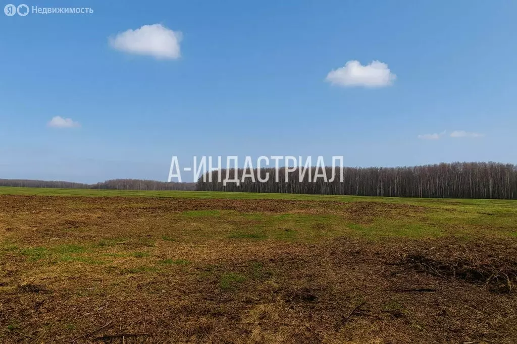 Участок в Московская область, городской округ Домодедово, деревня ... - Фото 2
