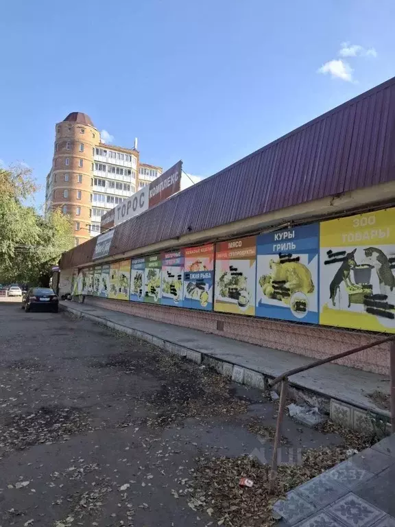 Помещение свободного назначения в Омская область, Омск пос. Амурский, ... - Фото 1