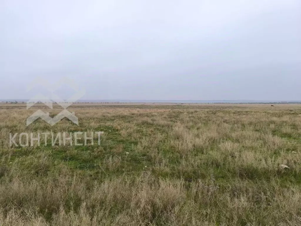 Участок в Крым, Черноморский район, Медведевское с/пос, с. Медведево ... - Фото 1