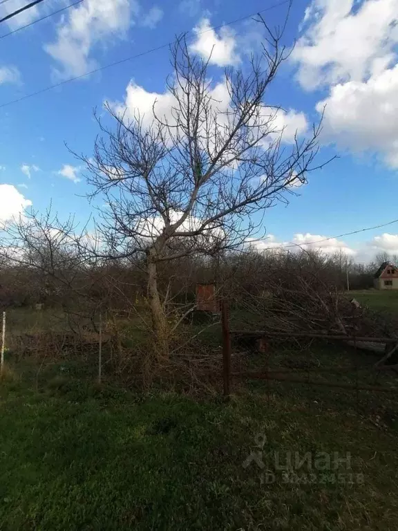 Участок в Краснодарский край, Новокубанск Кубань СНТ, ул. Грушевая ... - Фото 1