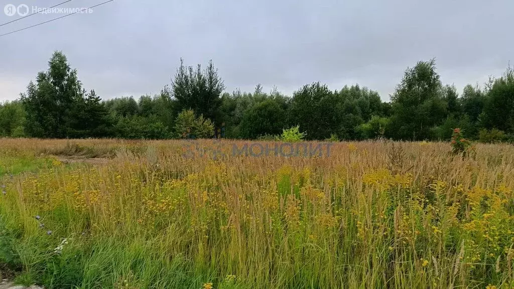 Участок в Нижегородская область, Богородский муниципальный округ, ... - Фото 0