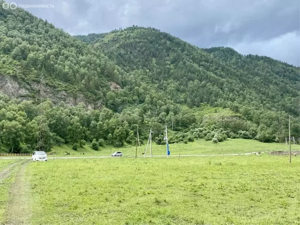 Участок в Чемальский район, село Аюла, Солнечная улица (12 м) - Фото 2