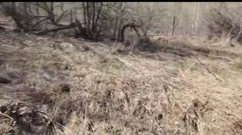 Участок 6,5 сот. (СНТ, ДНП) - Фото 1