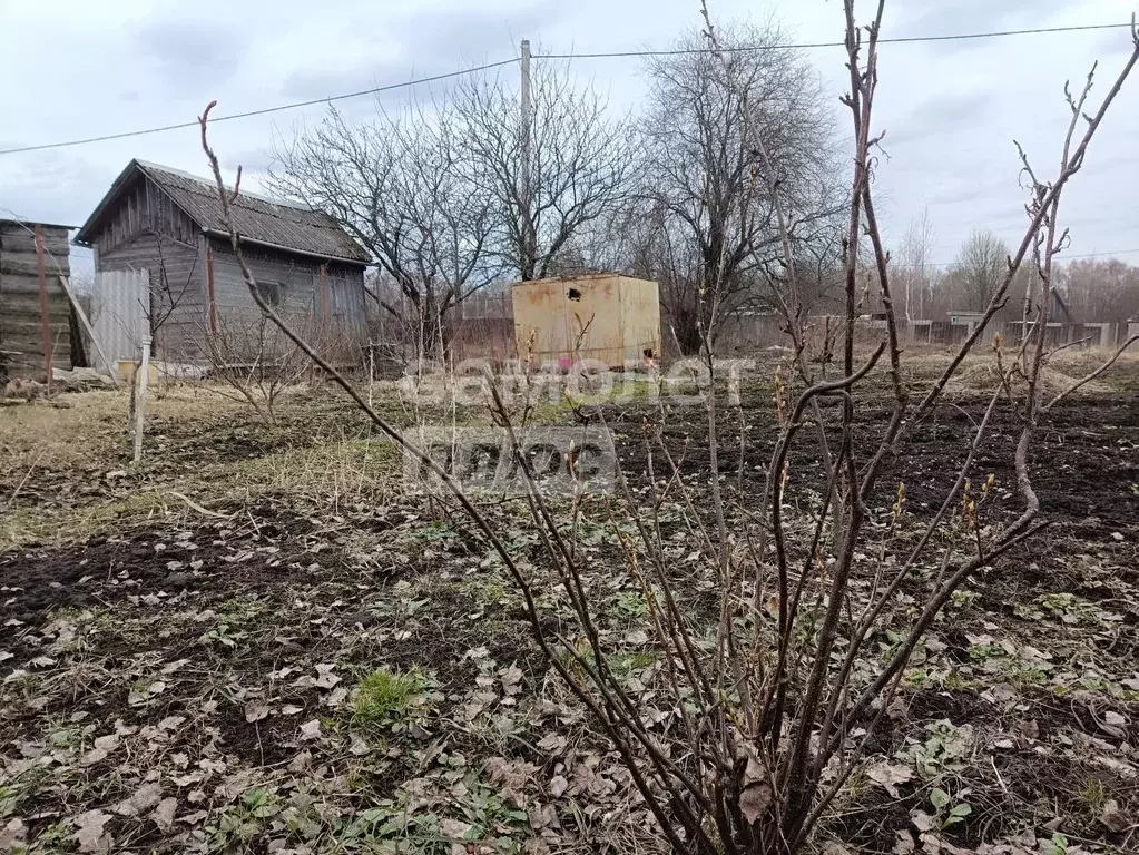 Участок в Брянская область, Брянский район, Снежское с/пос, с. ... - Фото 2