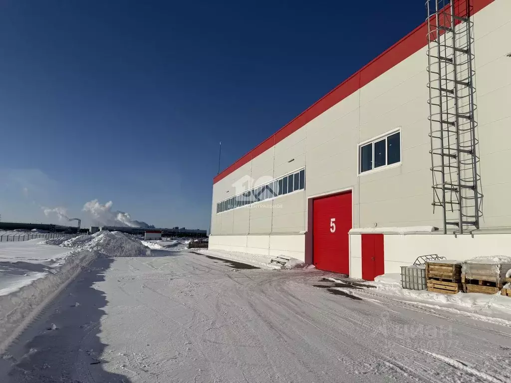 Склад в Новосибирская область, Новосибирский район, с. Толмачево ул. ... - Фото 2