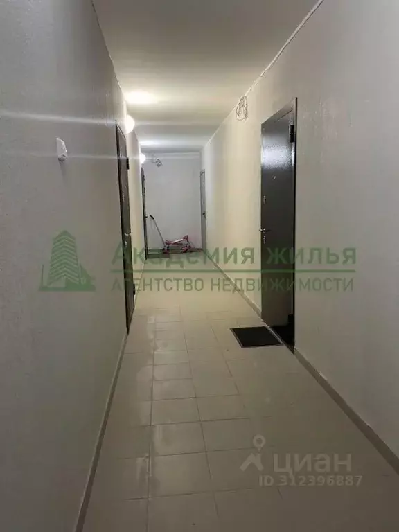 Студия Саратовская область, Саратов ул. Стрельбище, 20 (32.0 м) - Фото 0