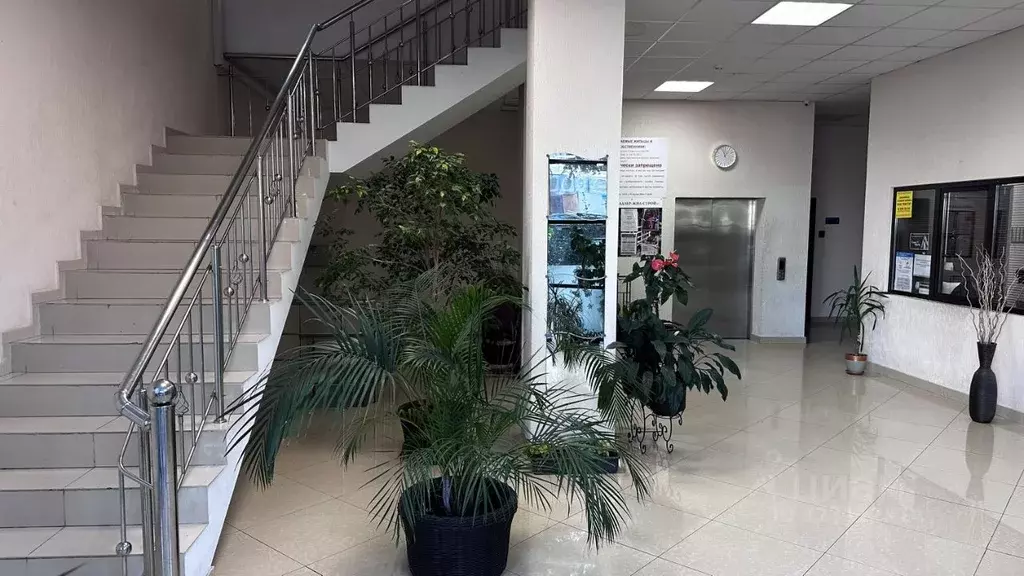 Студия Краснодарский край, Сочи Адлер жилрайон, ул. Белорусская, 20 ... - Фото 2