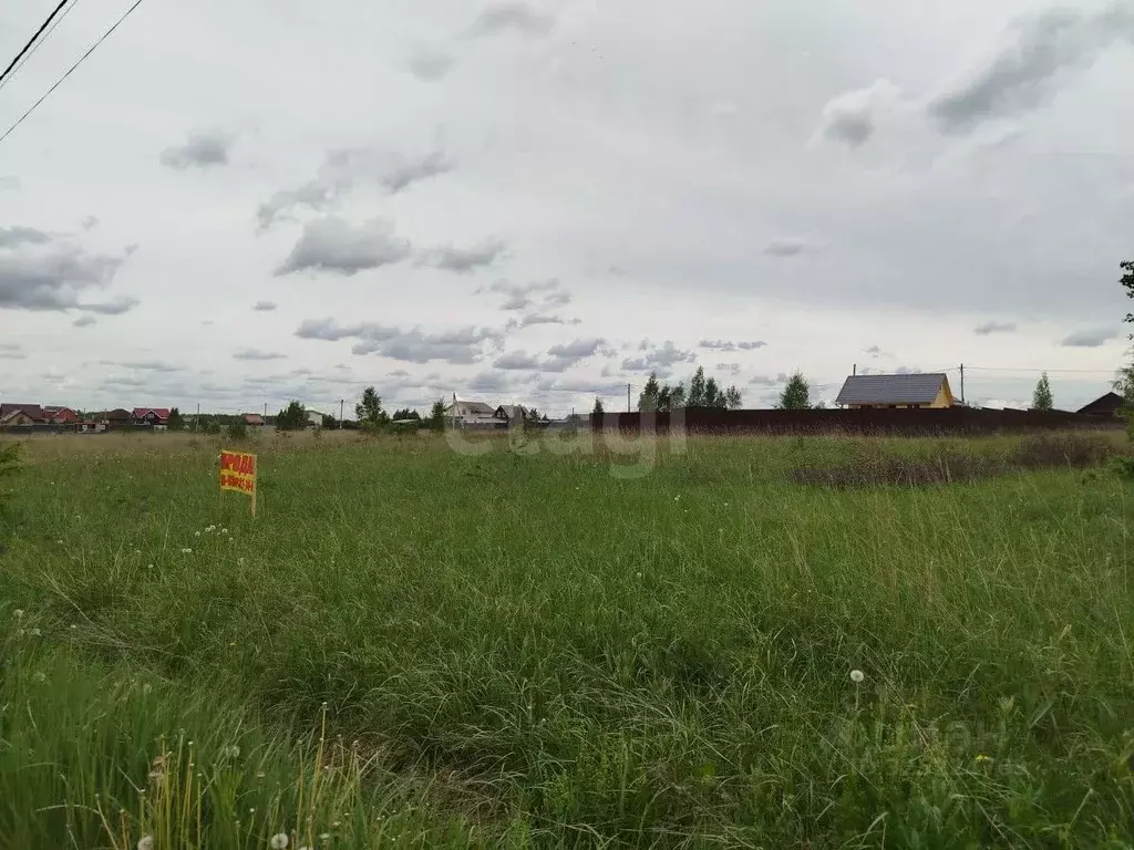 Участок в Владимирская область, Петушинский муниципальный округ, ... - Фото 0