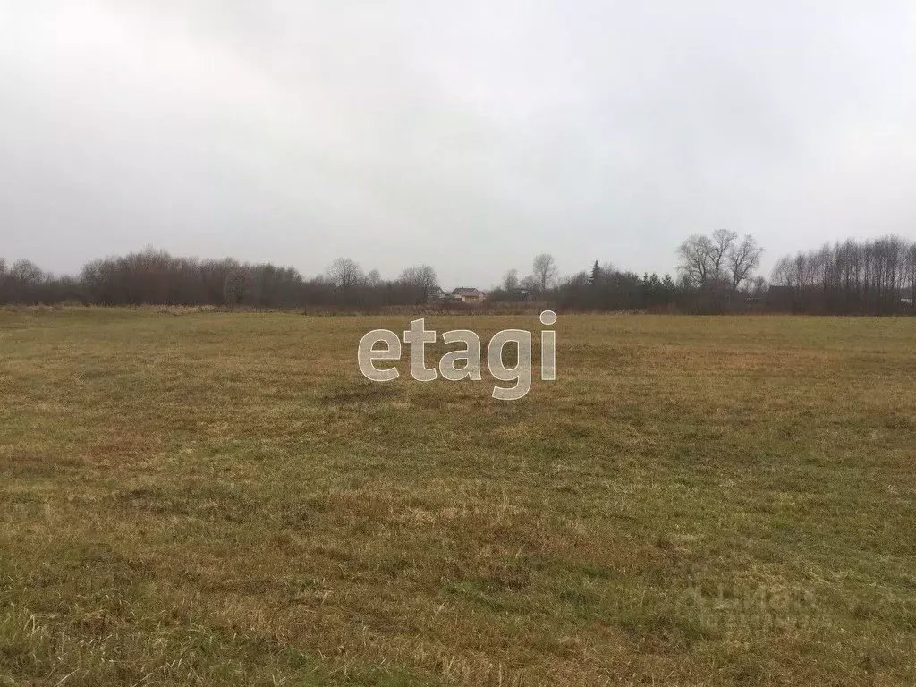 Участок в Архангельская область, Котласский муниципальный округ, д. ... - Фото 1