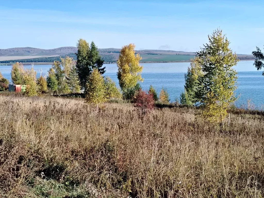 Участок в Красноярский край, Шарыповский муниципальный округ, д. ... - Фото 1