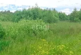 Участок в Свердловская область, Горноуральский муниципальный округ, ... - Фото 2