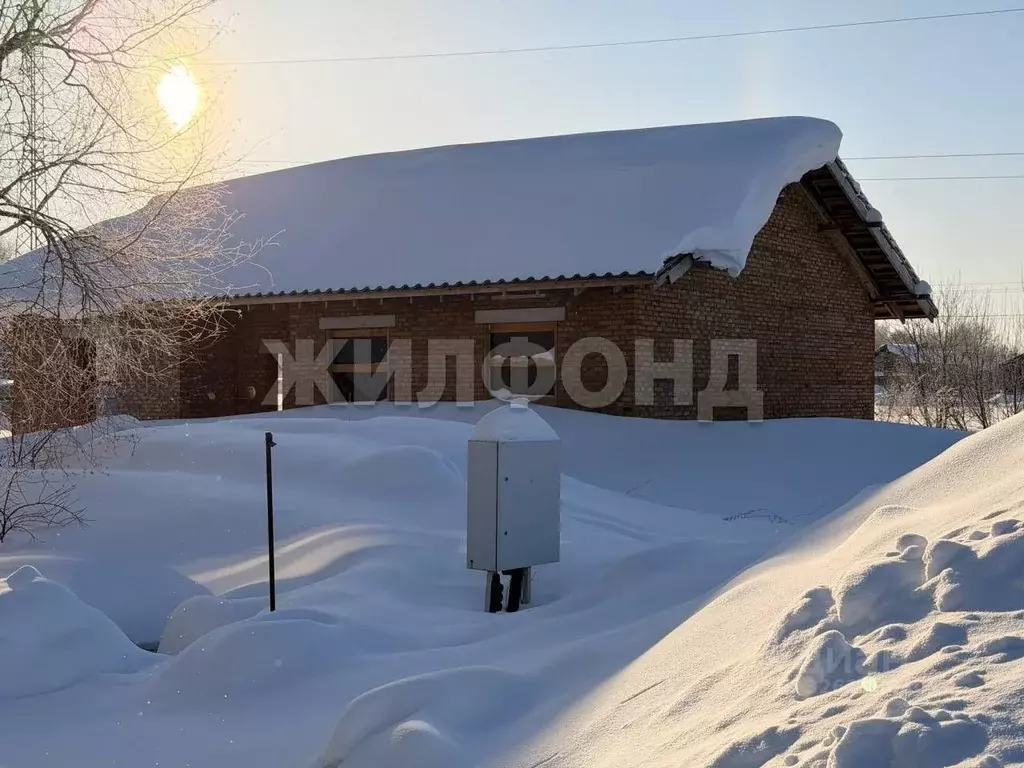 Участок в Новосибирская область, Новосибирский район, Барышевский ... - Фото 1
