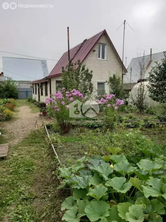 Дом в Колыванский район, СТ Надежда, 30-я улица, 539 (51 м) - Фото 1