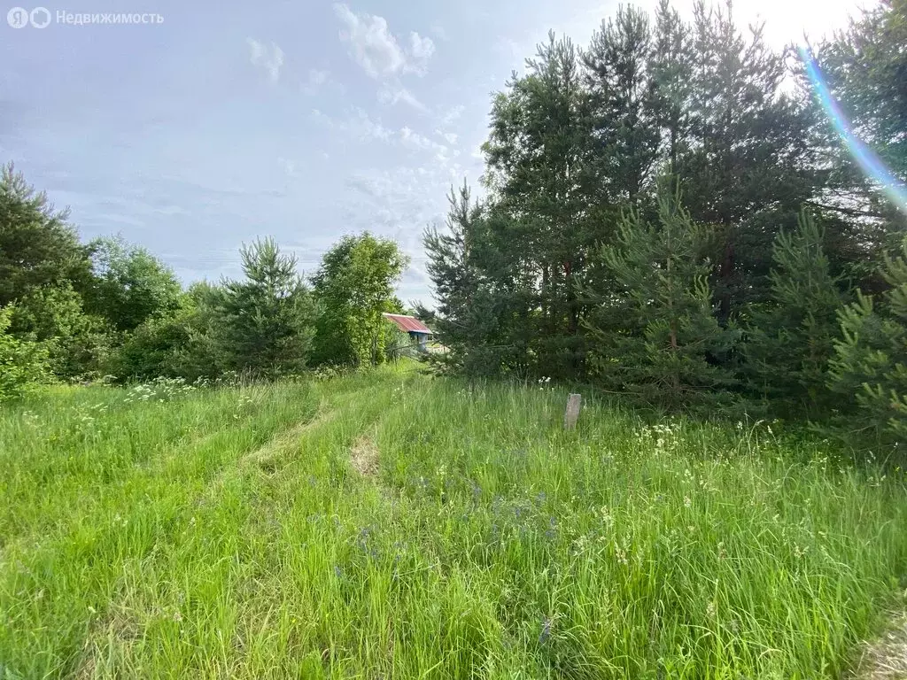 Участок в Гдовский район, Юшкинская волость, деревня Сторожинец (58 м) - Фото 1