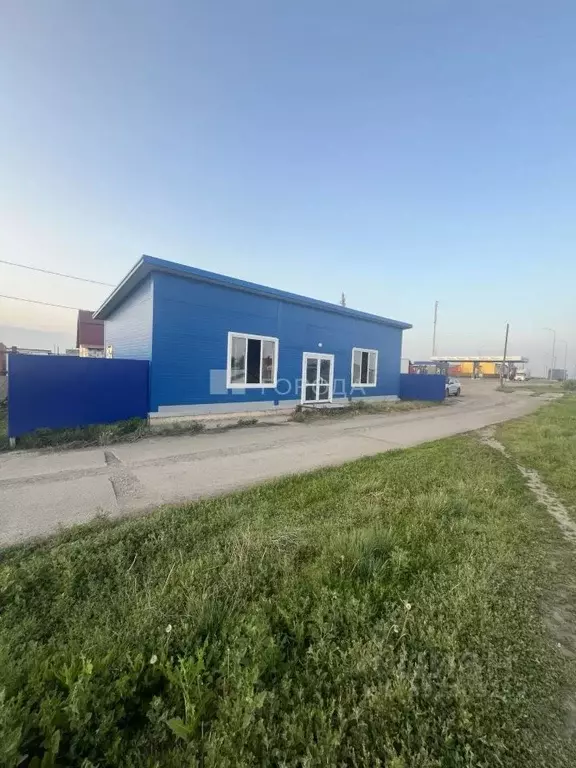 Помещение свободного назначения в Новосибирская область, Коченевский ... - Фото 1
