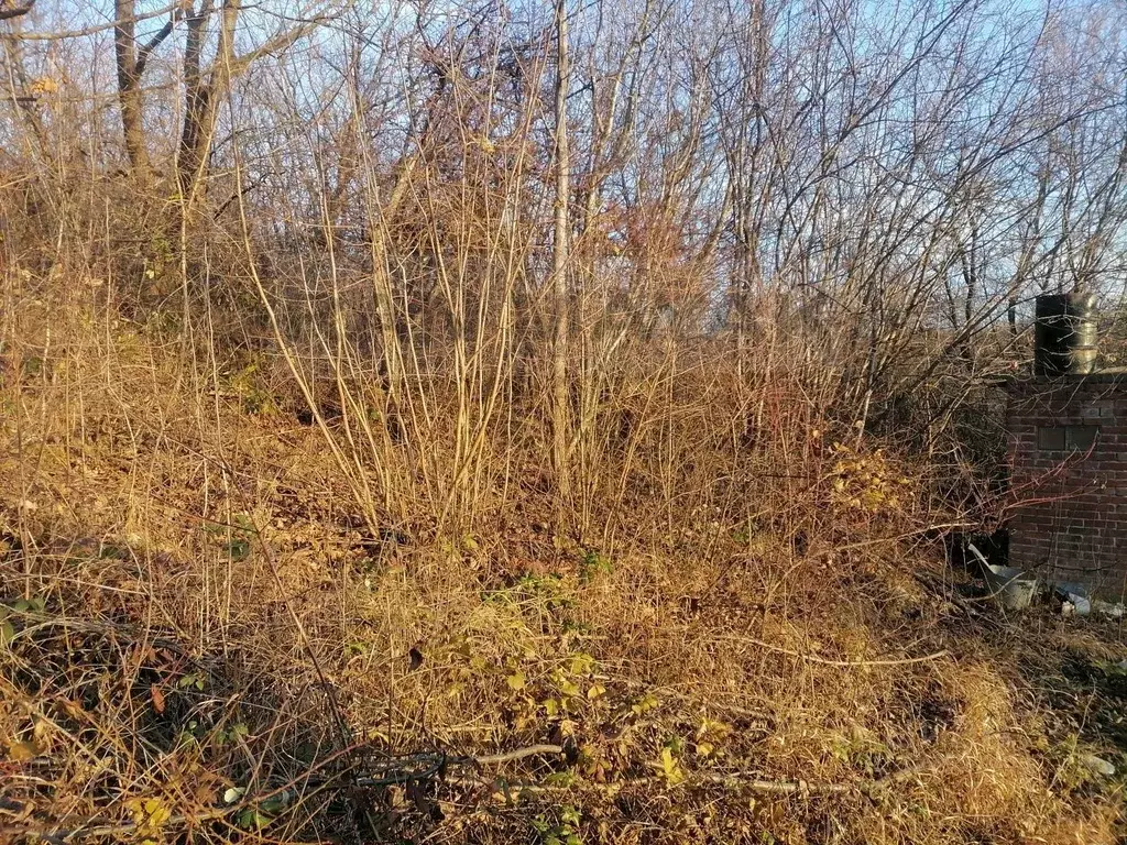 Участок в Адыгея, Майкоп Восход СНТ,  (4.42 сот.) - Фото 2