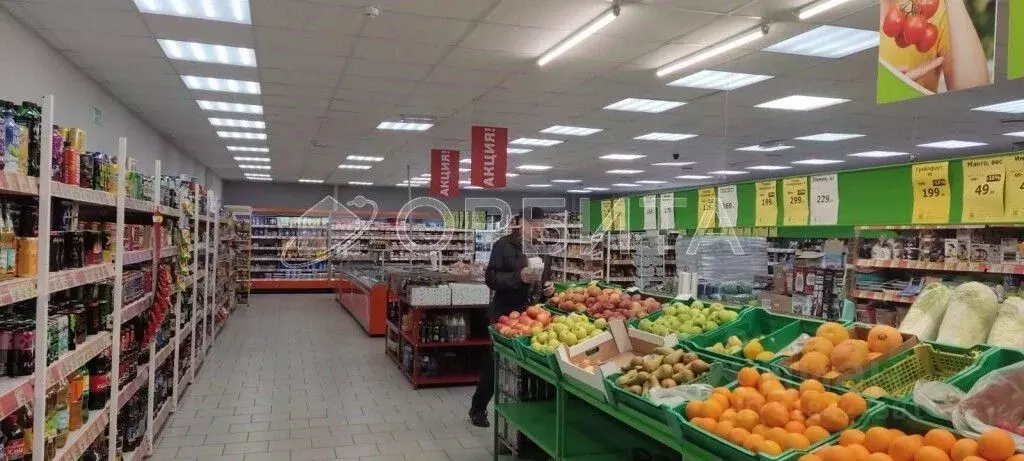 Торговая площадь в Тюменская область, Тюмень ул. Тимирязева, 6 (577 м) - Фото 1