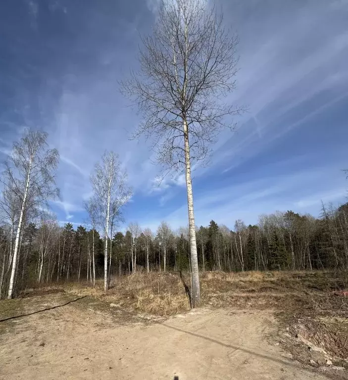 Участок в Новгородская область, Новгородский район, Савинское с/пос, ... - Фото 1