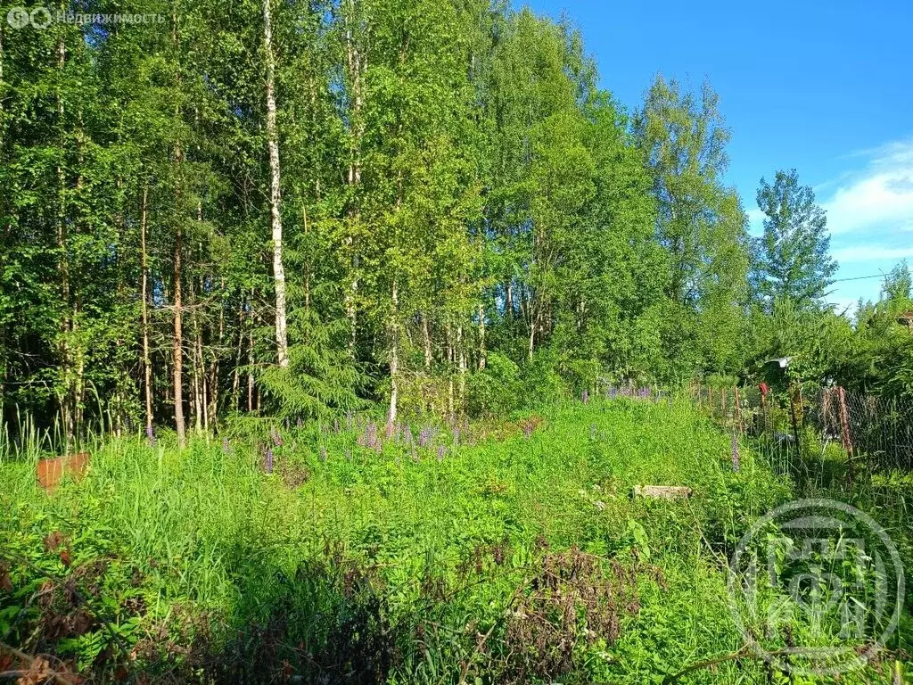 Участок в Выборгский район, Советское городское поселение, СНТ ... - Фото 0