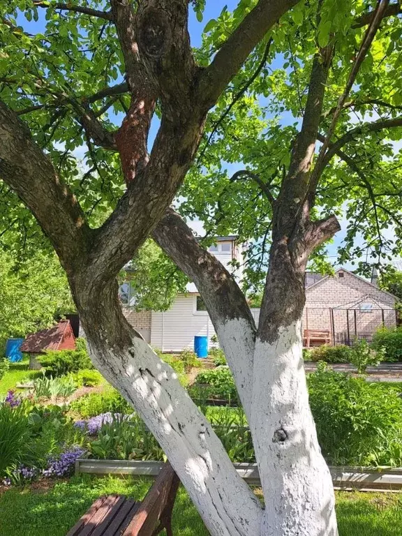 Дом в Москва пос. Знамя Октября, Березки СНТ,  (118 м) - Фото 0