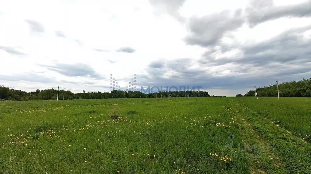 Участок в Нижегородская область, Дальнеконстантиновский муниципальный ... - Фото 1